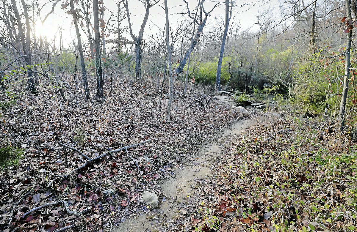 Turkey Mountain